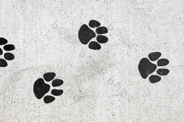 动物狗脚足迹图案