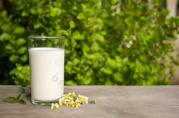 新<strong>鲜牛奶</strong>在玻璃上的自然背景