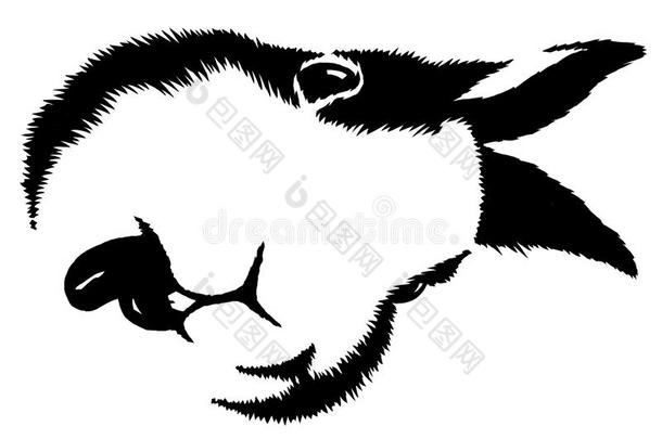 黑白线条画兔图