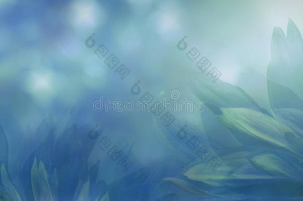 花花瓣上模糊的绿松石-蓝色背景。 花卉构图。 花卉背景。