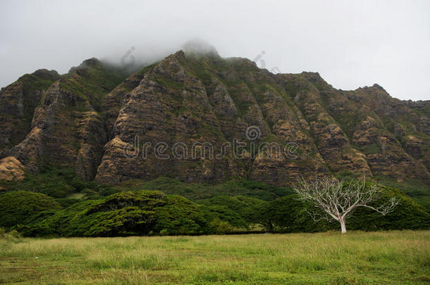 雨天的<strong>美丽风景</strong>