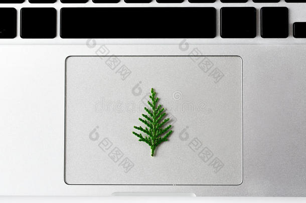 圣诞主题。 小小的新年松树躺在笔记本电脑的触控板上。