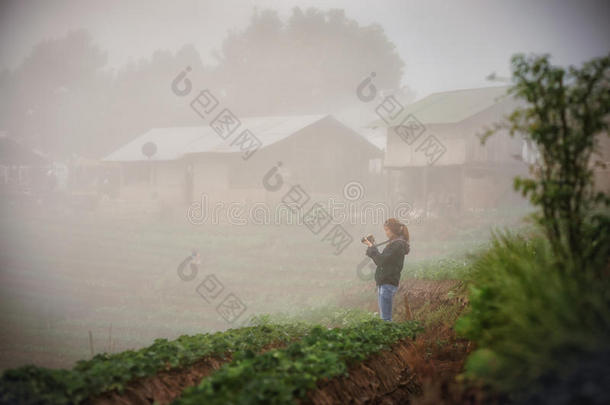 亚洲游客妇女在多安杭山草莓农场
