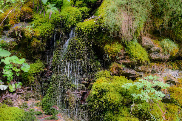 瀑布在岩石悬崖上。 瀑布的自然景观与美丽的绿色风景。。