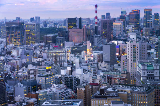 东京的城市景观在日落/日出，东京的天际线，办公楼和东京的市中心在日本的Minato，东京