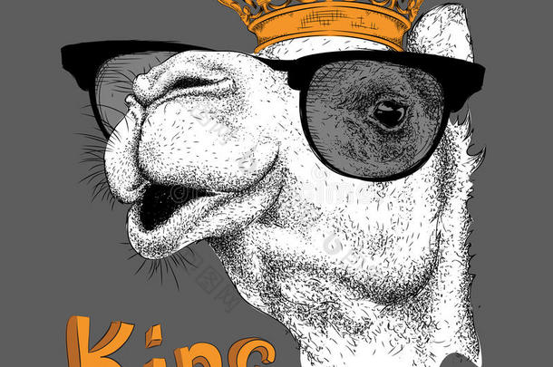 <strong>手绘</strong>皇冠上骆驼的形象肖像。 用于印刷，<strong>海报</strong>，t恤。 <strong>手绘</strong>矢量插图
