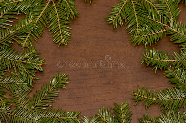 木质背景上的圣诞青松云杉树枝