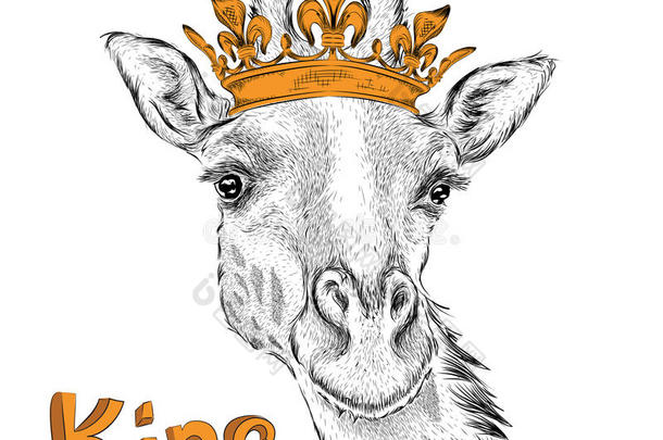 手绘形象肖像长颈鹿在皇冠上。 用于印刷，海报，t恤。 矢量插图