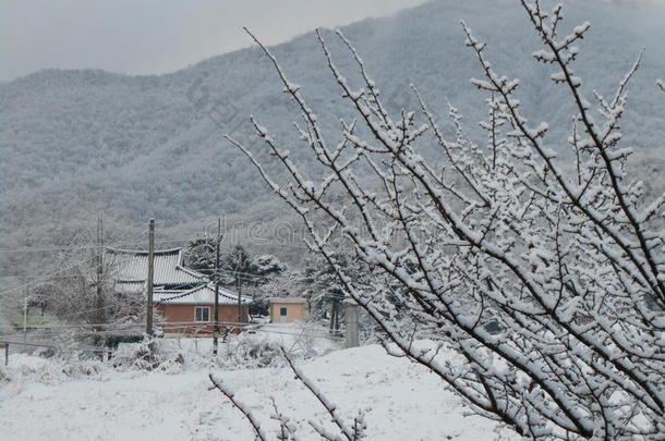 房子韩国韩国人山雪