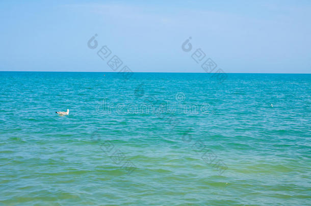 亚得里亚海海岸景观。 意大利海滨，夏季沙滩，地平线上有云。