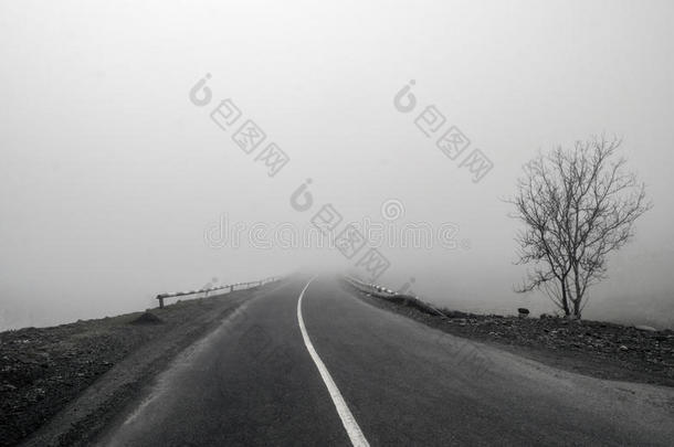 雾蒙蒙的乡间道路。 雾创造了一种空虚的感觉，因为它导致似乎无处。 伊利苏，加赫，阿塞拜疆