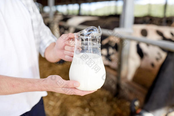 在奶牛场用牛奶接近男人或农民
