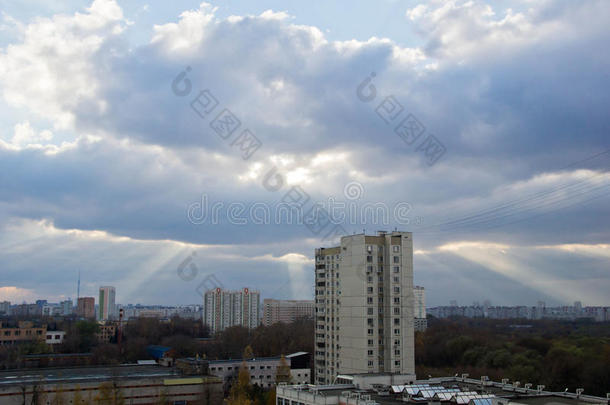 建筑灌木灌木丛汽车城市