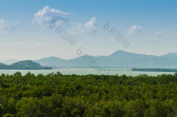 美丽的全景，常绿红树林在山湖角，巴克罗克，沙朗普吉，<strong>泰国</strong>。 <strong>旅游</strong>业和<strong>旅游</strong>业的增长