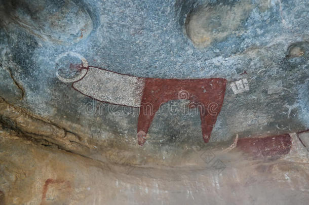 洞穴绘画和岩画LaasGeel附近的哈尔格萨特写索马里