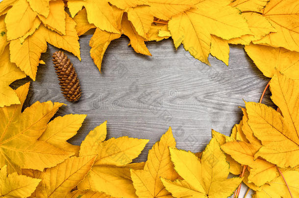 秋天黄色的枫叶在黑色的木板上