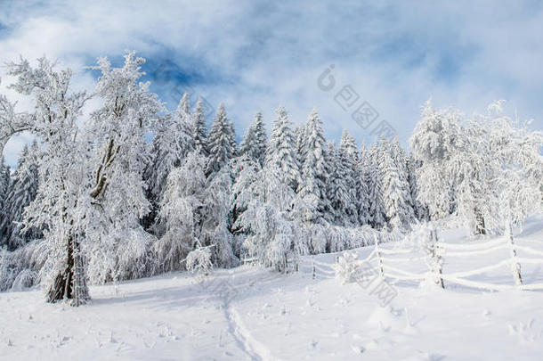 阿尔卑斯山背景美丽的圣诞节气候
