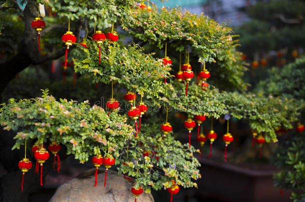 中国春节。 树和中国灯笼