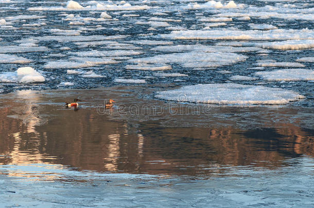 两个北方铲子在漂浮的冰与<strong>围棋</strong>