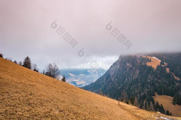 阿尔卑斯山白云石欧洲的栀子花房屋