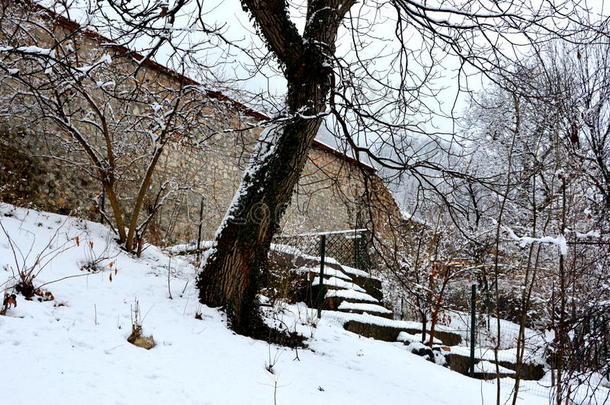 冬天的<strong>花园</strong>。 典型的<strong>城市</strong>景观的<strong>城市</strong>布拉索夫，特兰西瓦尼亚布拉索夫是一个城镇，位于特兰西瓦尼亚，罗马尼亚