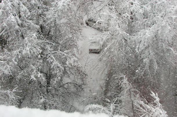 坏的暴风雪分支<strong>汽车城</strong>市