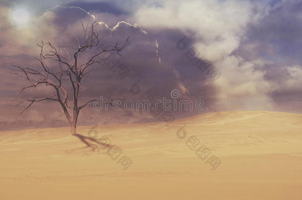 沙地沙漠超现<strong>实景</strong>观中的死树