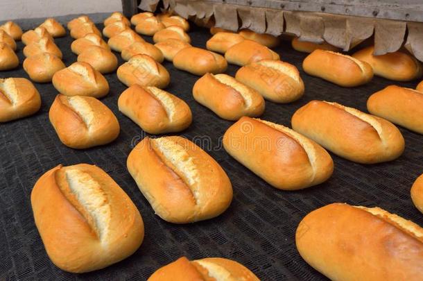 面包。 面包店。 面包店。 面包的生产。 烤箱里的新鲜白面包