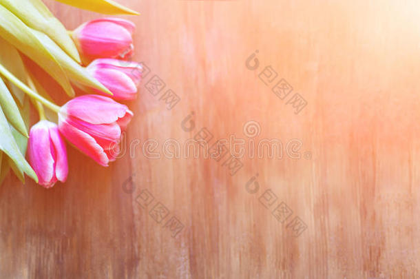 明亮的粉红色郁金香在自然的木制背景，与<strong>水</strong>的<strong>喷雾</strong>，以纪念妇女`一天