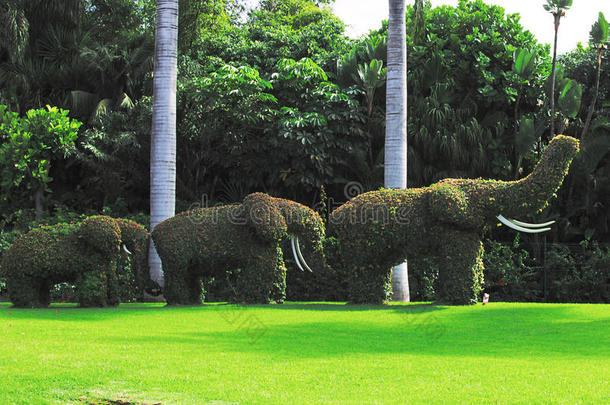 一个有趣的大象家族在散步。 美化环境。 雕塑是由植物制成的。