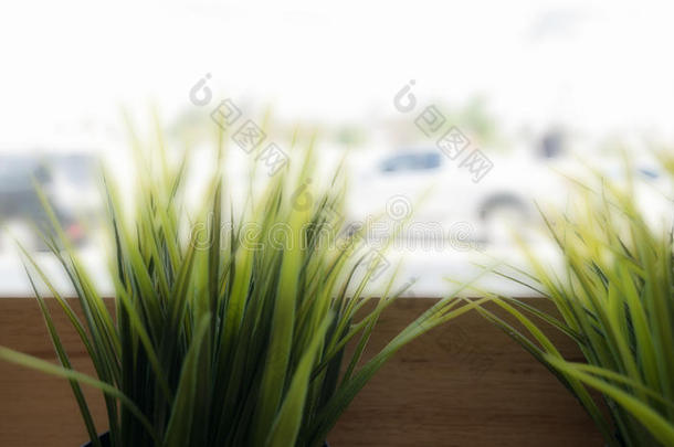 咖啡厅装修风格：餐厅木制花盆中的草