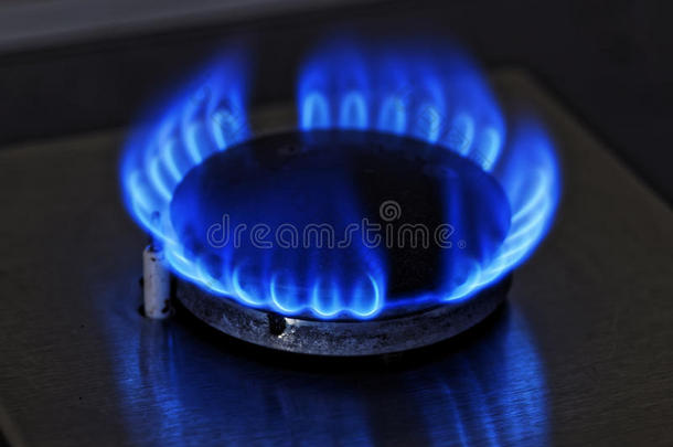 蓝色气体的火焰。 从厨房煤气炉关闭燃烧的火环