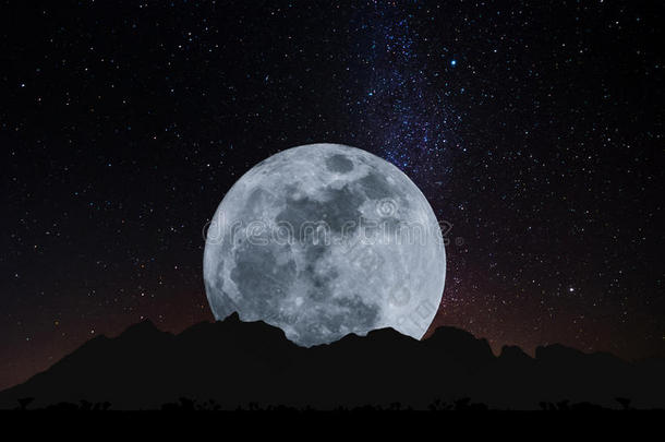 晚上满月与星星与剪影玻璃草坪。 满月背景