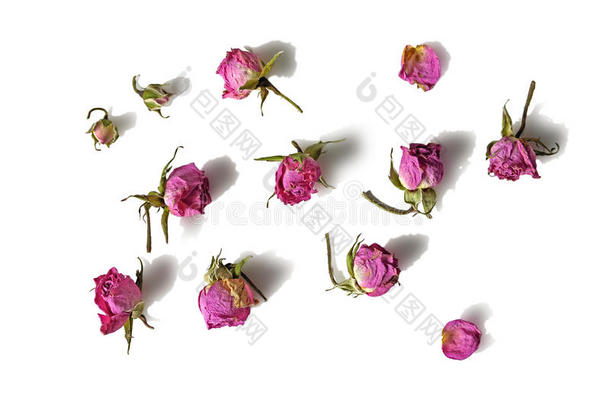 干燥褪色的粉红色玫瑰花头孤立在白色背景与阴影。 剪贴簿，包装纸，卡片，邀请函，包装