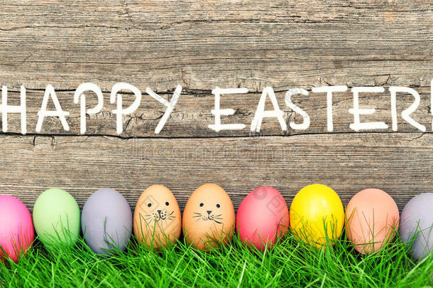 复活节装饰鸡蛋可爱的兔子快乐复活节