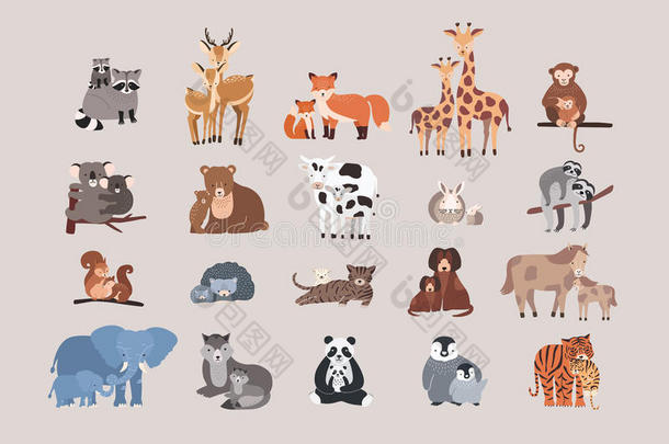 可爱的动物和婴儿设定。 浣熊，鹿，狐狸，长颈鹿，猴子，考拉，熊，牛，兔子，树懒，松鼠，刺猬