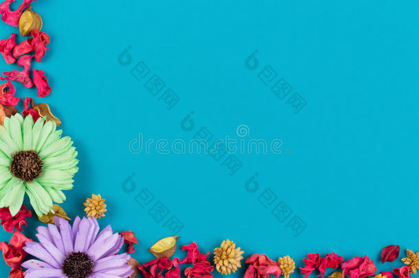干花，异国情调的叶子和植物框架在蓝色的背景。 俯视图，平躺。