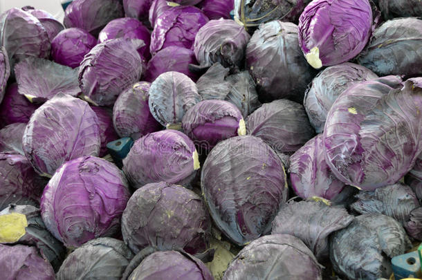 黑色卷心<strong>菜图片</strong>在杂货店出售，黑胡椒是一种健康的蔬菜。