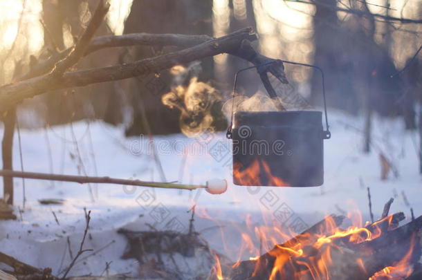 在冬天的森林里，火上的一壶沸水温暖着，