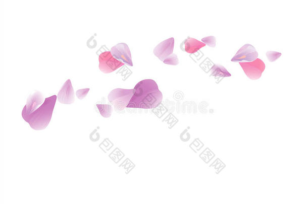 在白色背景上分离出的<strong>浅</strong>紫色花瓣。 玫瑰花瓣。 落下的樱花。 矢量EPS10CMYK