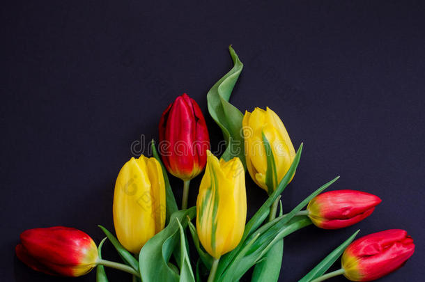 <strong>清新</strong>的春天，红色和黄色郁金香花束，特写宏观的黑色背景，顶部的景色