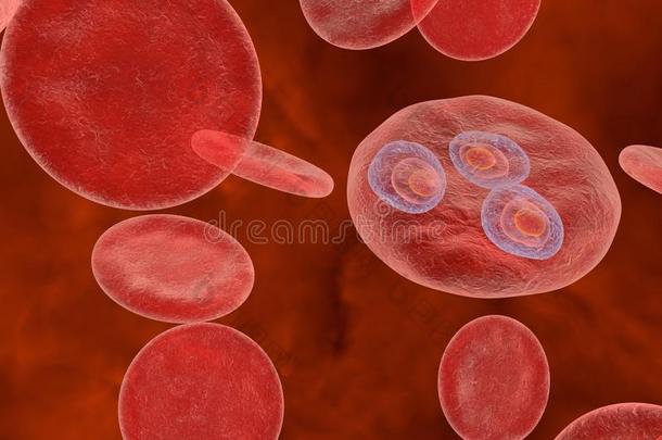 艺术品生物学血细胞特写镜头