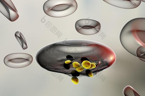 艺术品背景生物学血细胞