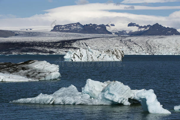 在Jokulsarlon冰川泻湖冰岛的漂浮冰山