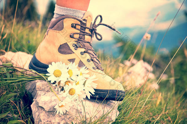 特写镜头：一个女人穿着登山鞋和一束雏菊在山间小路上