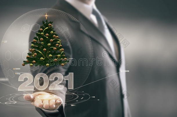 2021年圣诞树商人手持新技术