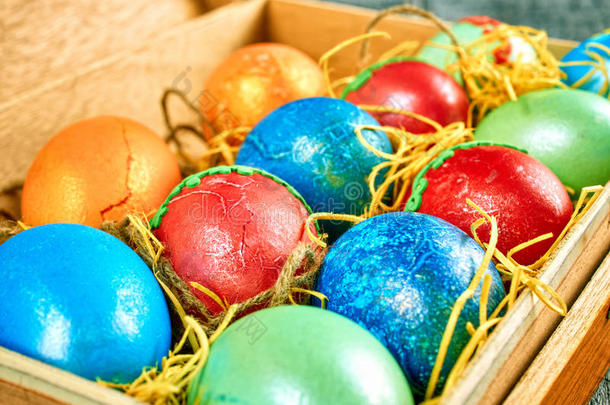 复活节猫-柳树和复活节鸡蛋在真实的背景。 快乐复活节卡片