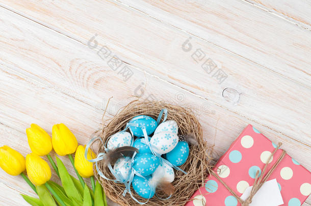 复活节背景与蓝色和白色鸡蛋在巢，黄色郁金香