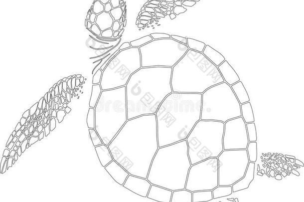 孤立的白色背景上海龟的轮廓