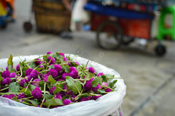 泰国曼谷<strong>花卉市场</strong>PakKlongTalad